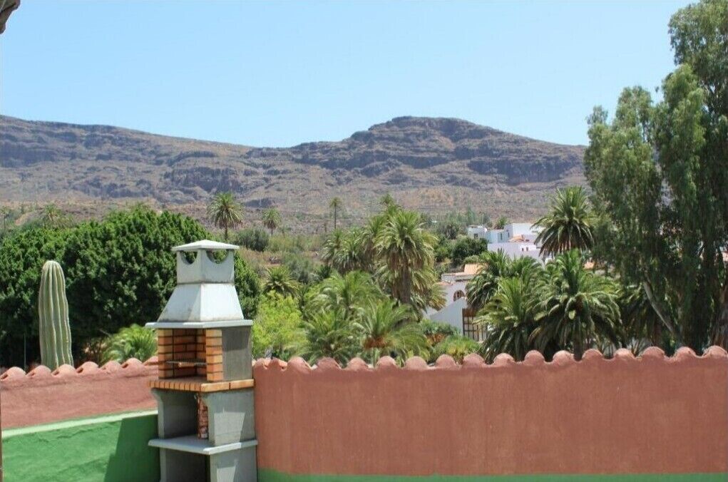 A barbecue grill, a cactus, and a view of a mountain.