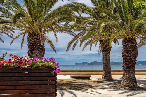 Vacation Apartment "Appartamento degiorgio8" with Terrace & Wi-Fi