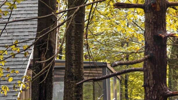 Une cabane perchée dans un arbre, dotée d’une terrasse en bois et d’une structure vitrée, entourée d’arbres et de feuillage.