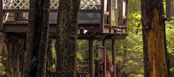Escape in our Rain-Forest A Frame Cabin-Retreat w/ Private Hot Tub
