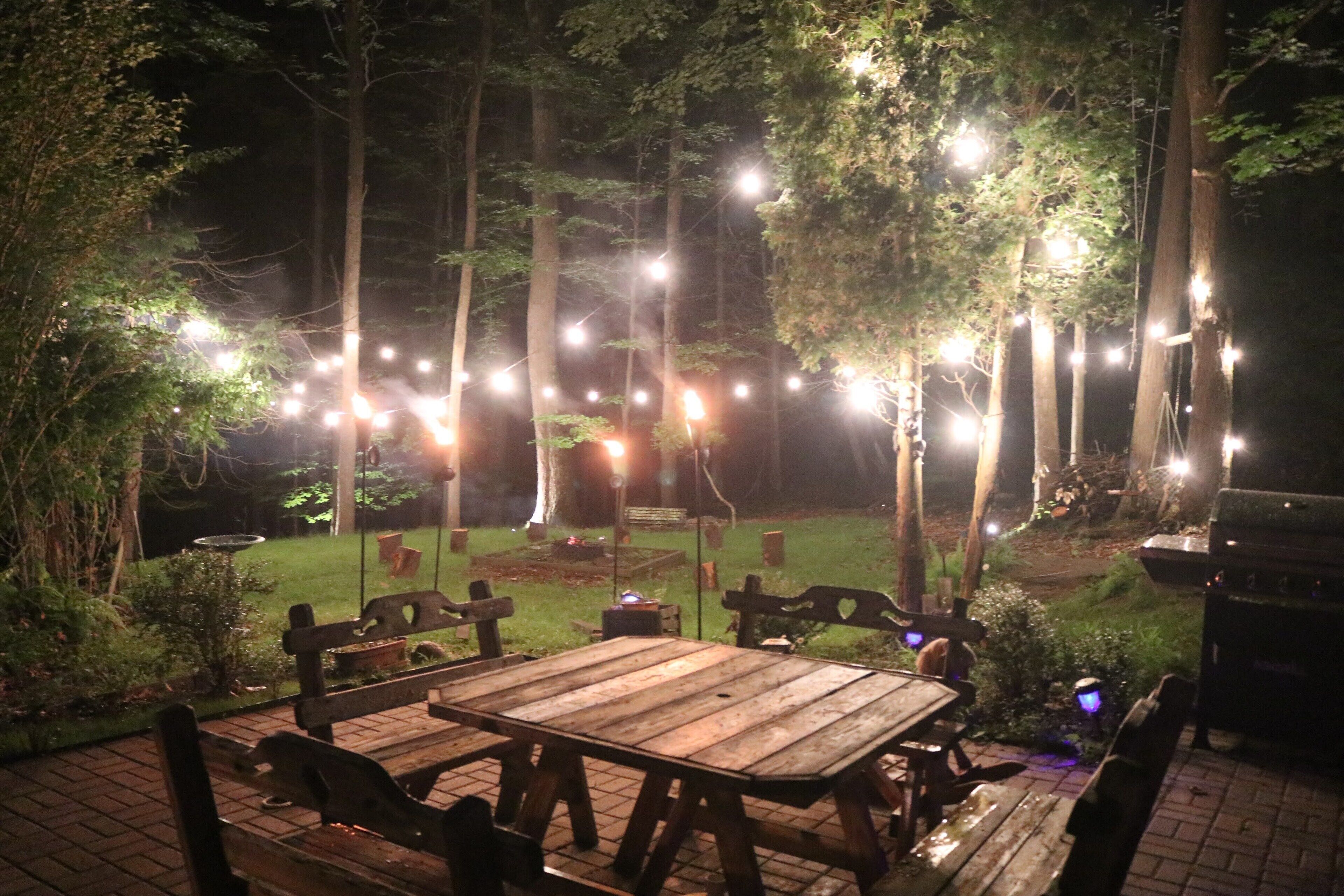 An outdoor patio with a wooden table and benches, surrounded by trees and string lights.