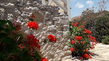 DĂ©tail de lâextĂ©rieur