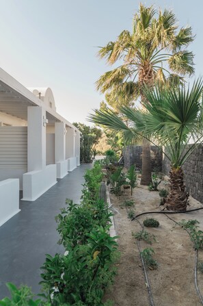 A modern building with a covered walkway and a palm tree.
