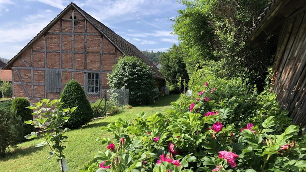 Un edificio in mattoni con tetto spiovente, circondato da un giardino curato con vivaci fiori rosa e arbusti verdi.