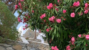 A stone staircase leading up to a building with pink flowering plants. - Ferienwohnung (ΜΥΚΟΝΟΣ)