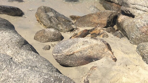 A rocky beach with clear blue water and distant hills. - Ferienwohnung (ΜΥΚΟΝΟΣ)