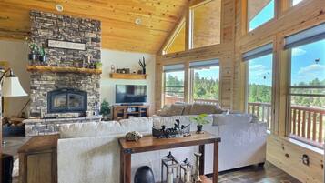 Una Smart TV, una chimenea, libros, una oficina