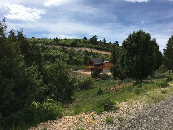 Uma cabana rústica rodeada por uma floresta densa, com um caminho de cascalho que a leva.