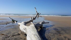 Plage à proximité, chaises longues