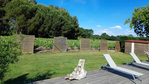 A wooden deck with lounge chairs, a rustic wooden structure, and a vineyard in the background. - Maison Toute Équipée Avec Piscine et Pool House (Gaillan-en-Médoc)