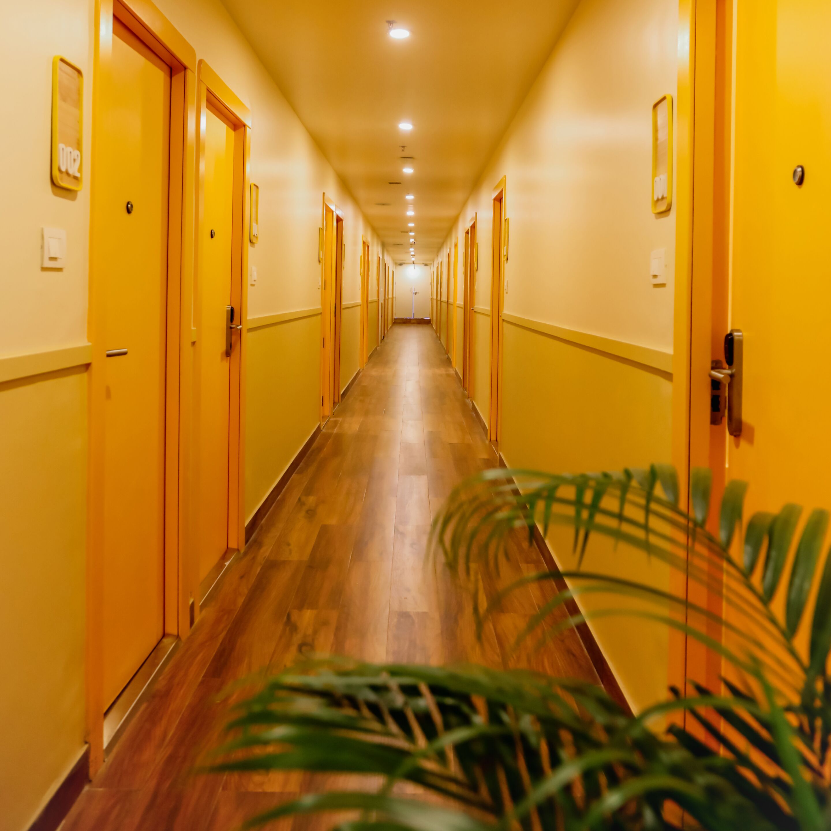 A long, narrow hallway with yellow doors on both sides, wooden flooring, and a potted plant in the foreground.