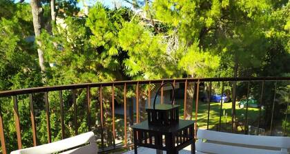 Splendido Appartamento Vista Mare, Fronte Spiaggia