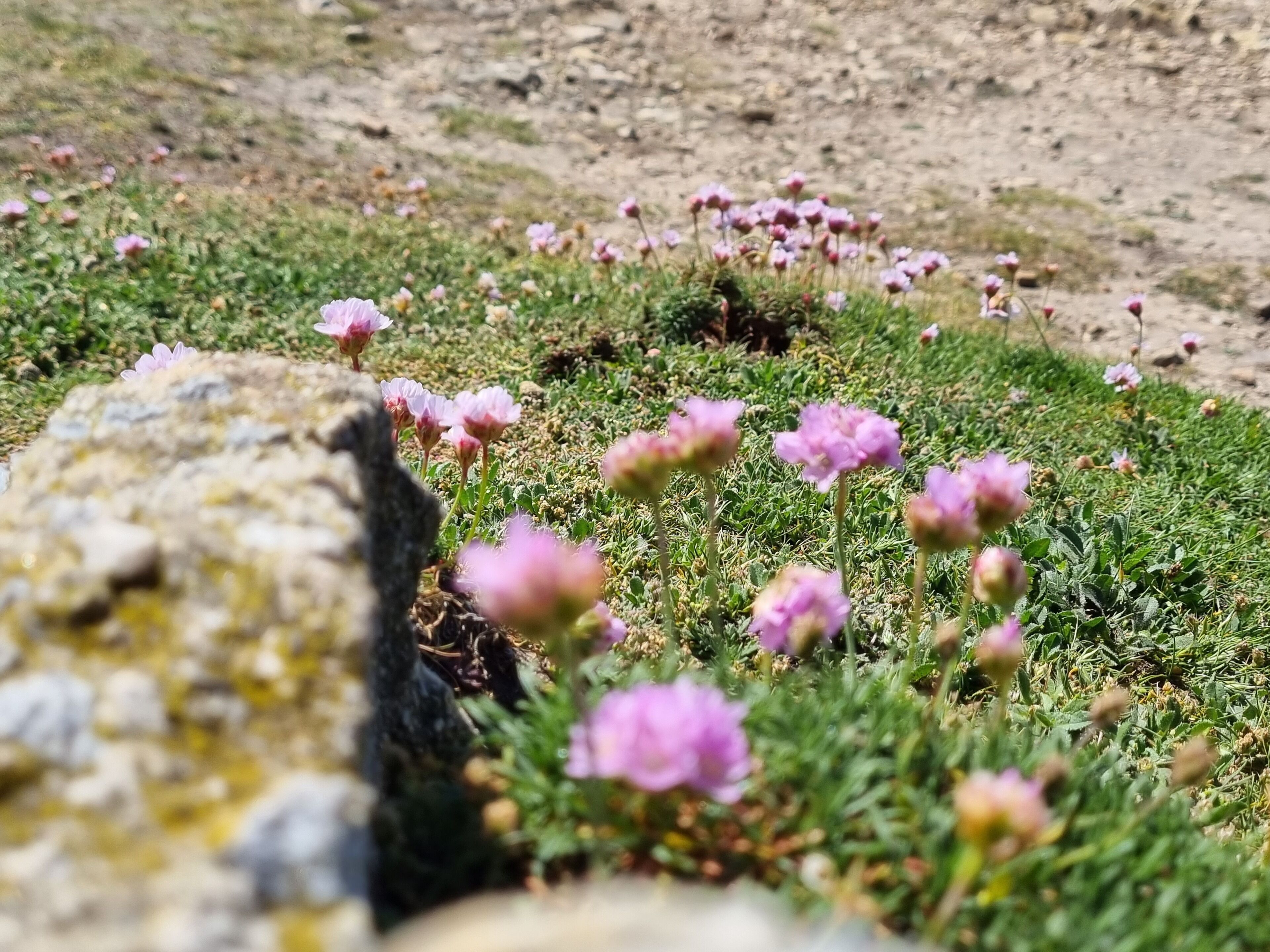 Pretty fisherman's house, close to the sea