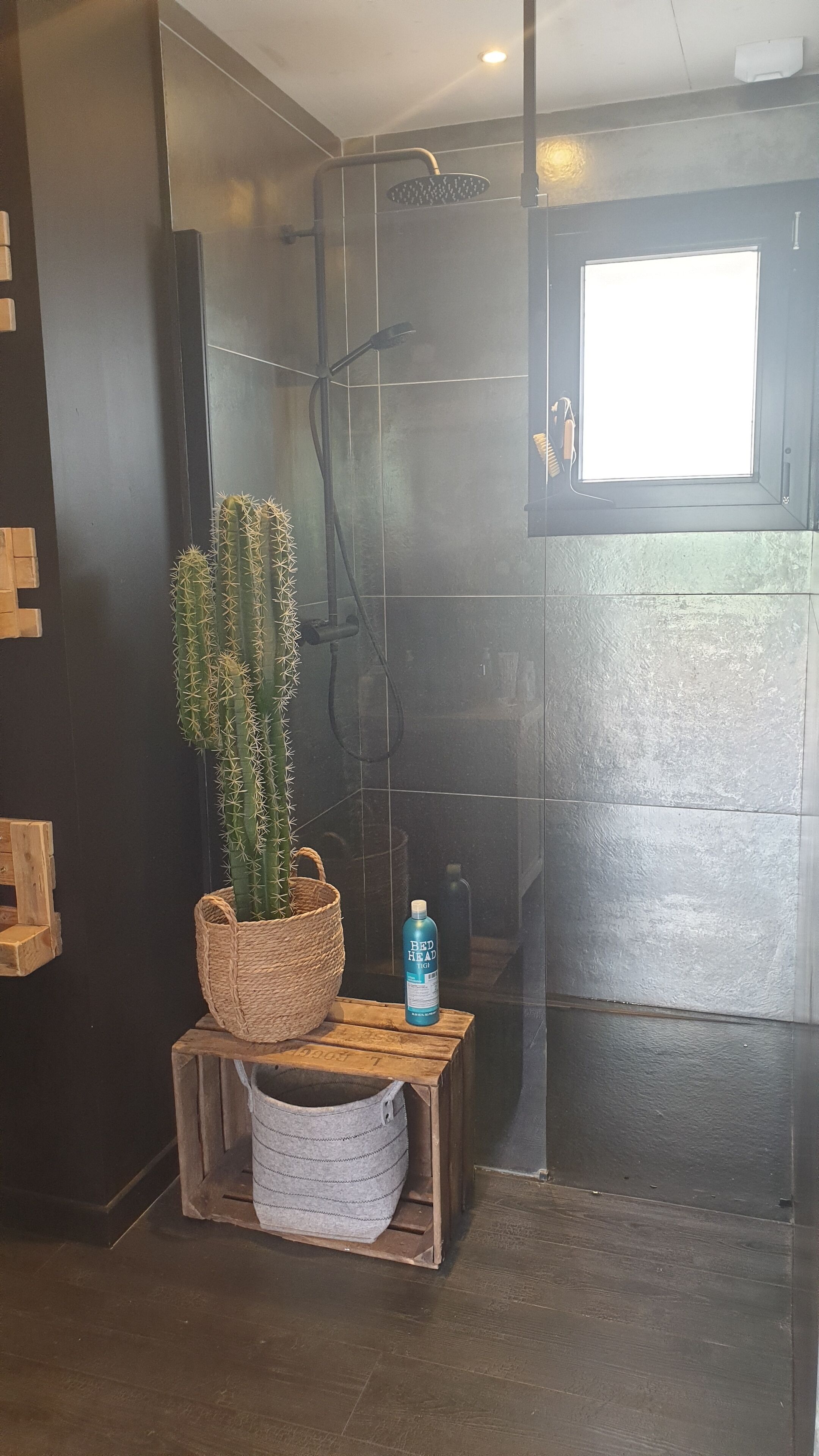 Bathtub, hair dryer, towels, toilet paper