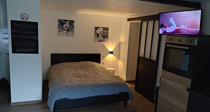 Charmant studio style industriel