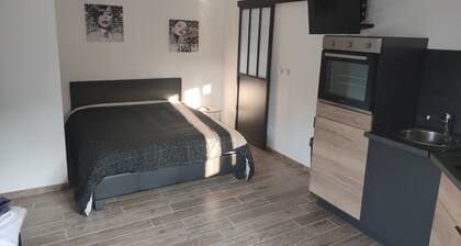 Charmant studio style industriel