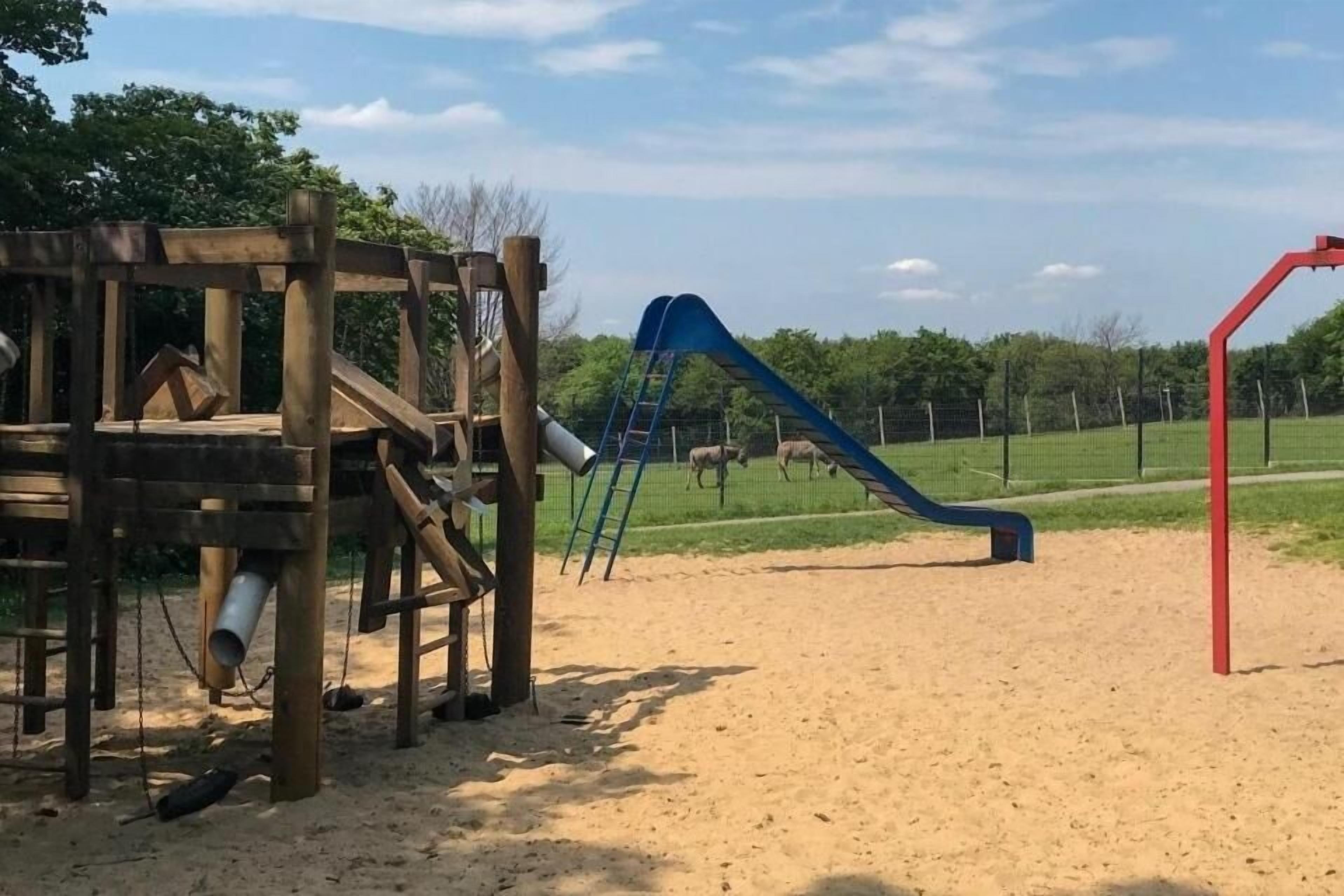 children’s activities