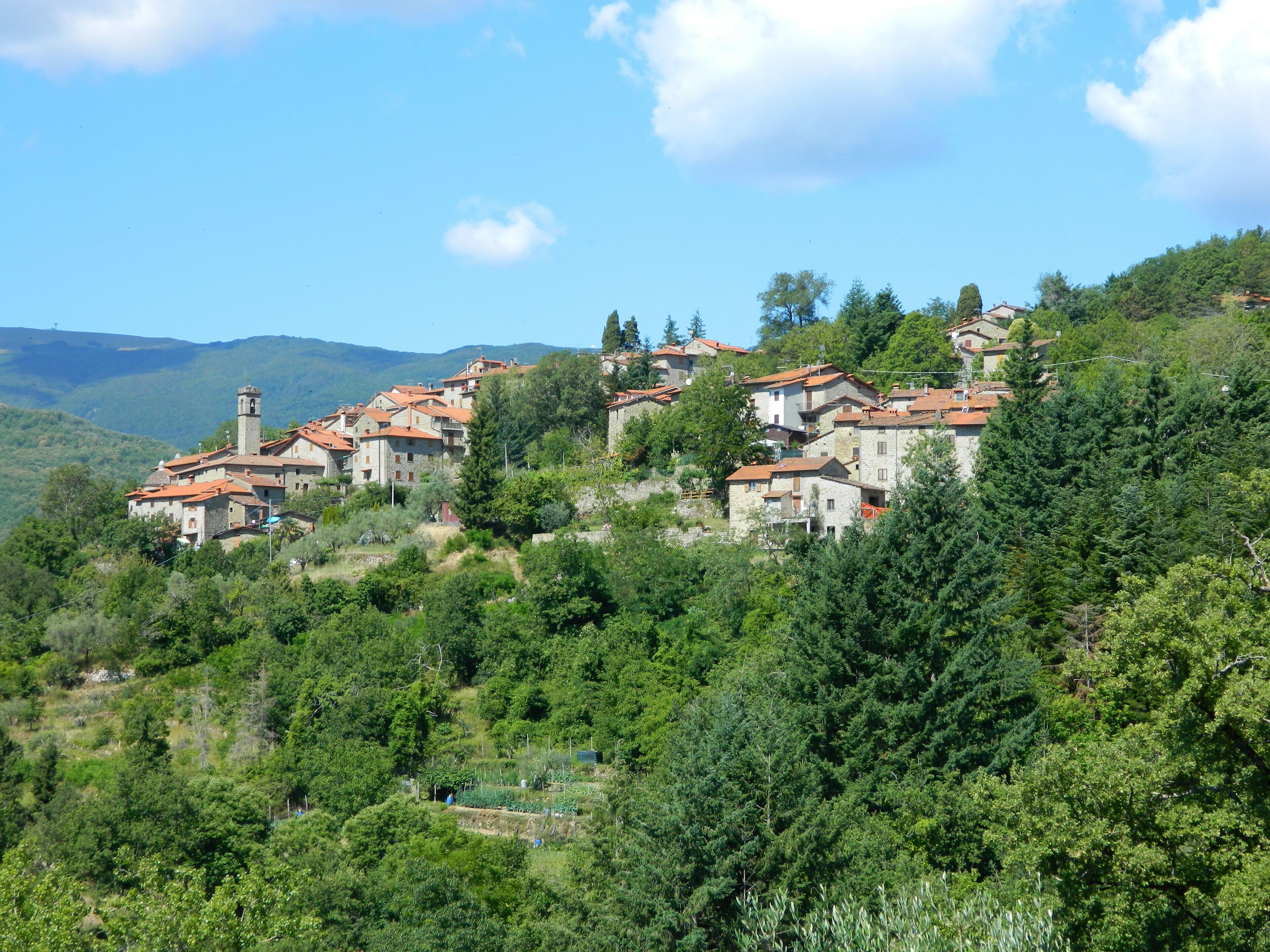 CasaResi Apartment with panoramic terrace in the medieval village Le case diQuota