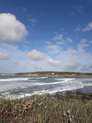 Playa en los alrededores y camastros 