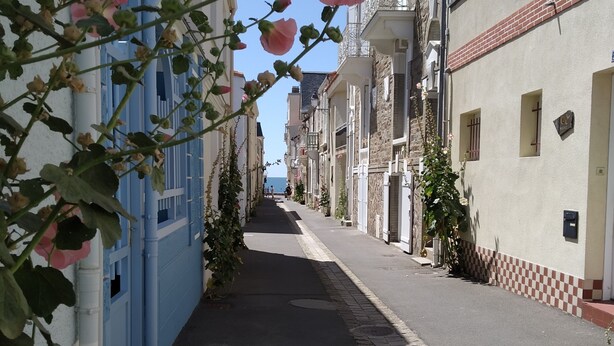 Una calle estrecha flanqueada por edificios, algunos con balcones y otros con ventanas a nivel de calle.