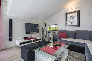 Apartment | Living room | 30-inch TV with digital channels