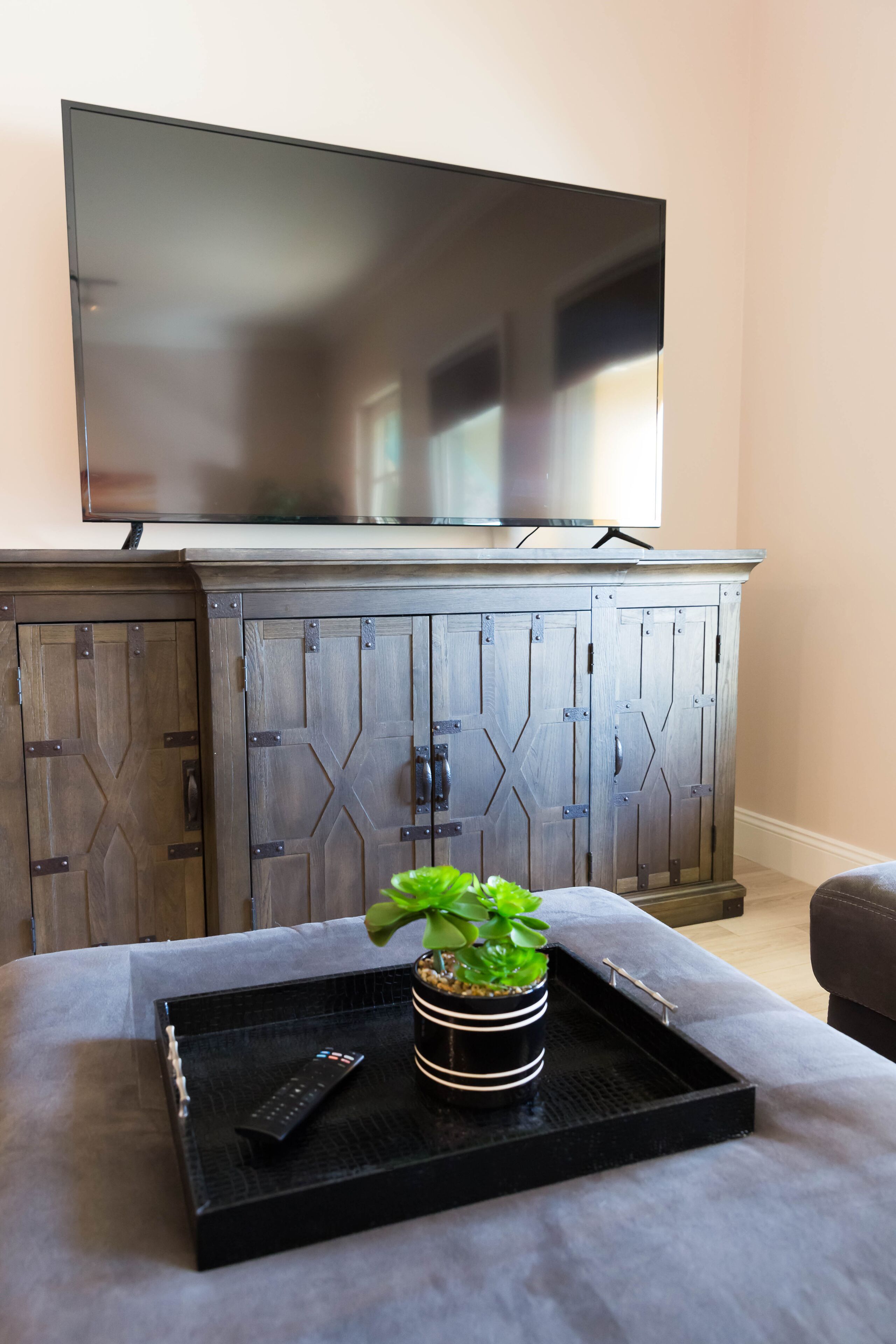 A living room with a flat-screen TV mounted above a wooden cabinet, a remote control on a tray, and a potted plant on the cabinet.