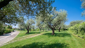 A park with a paved path, green grass, and trees. - Appartamento Victoria (Manerba del Garda)