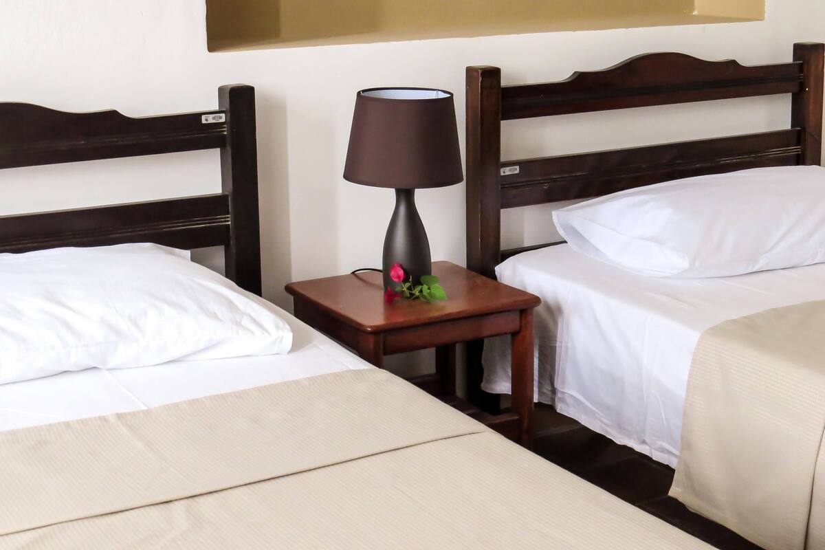 A hotel room with two single beds, a wooden headboard, a bedside table with a lamp, and a small decorative plant.