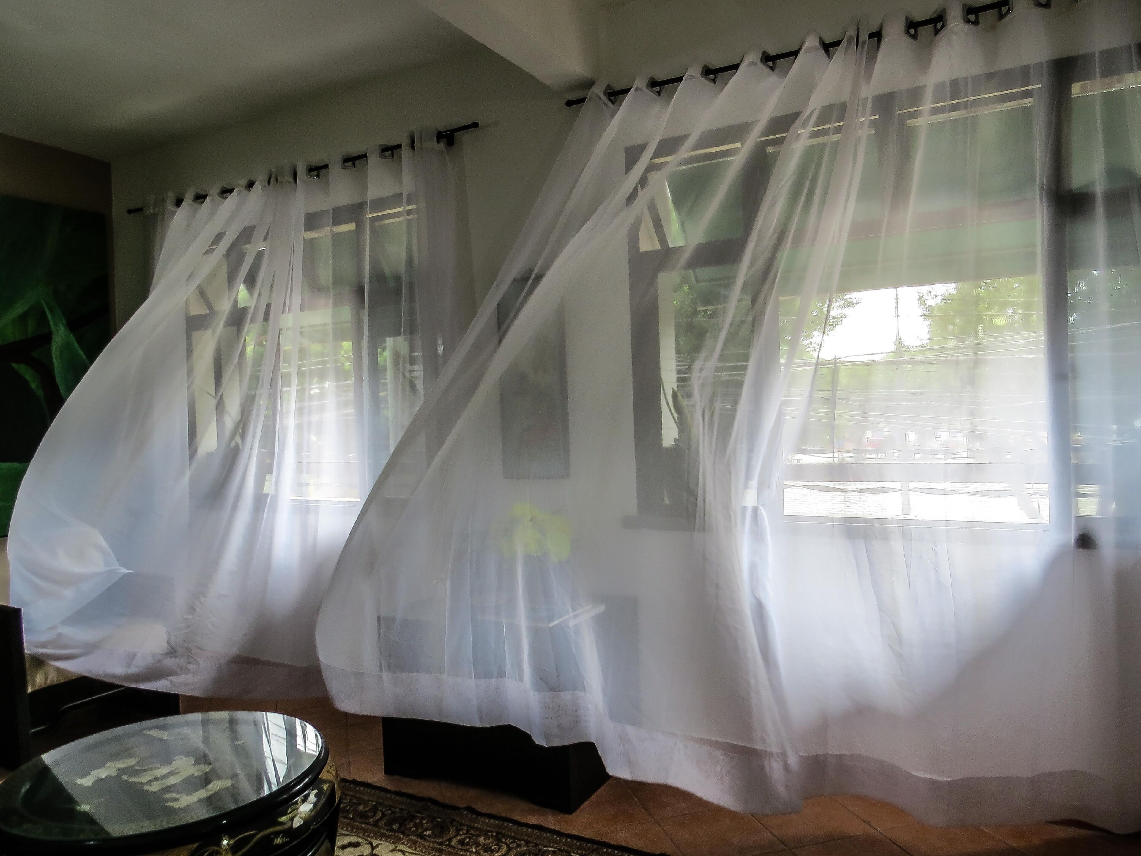 A room with sheer curtains, a glass table, and a view of the outdoors.