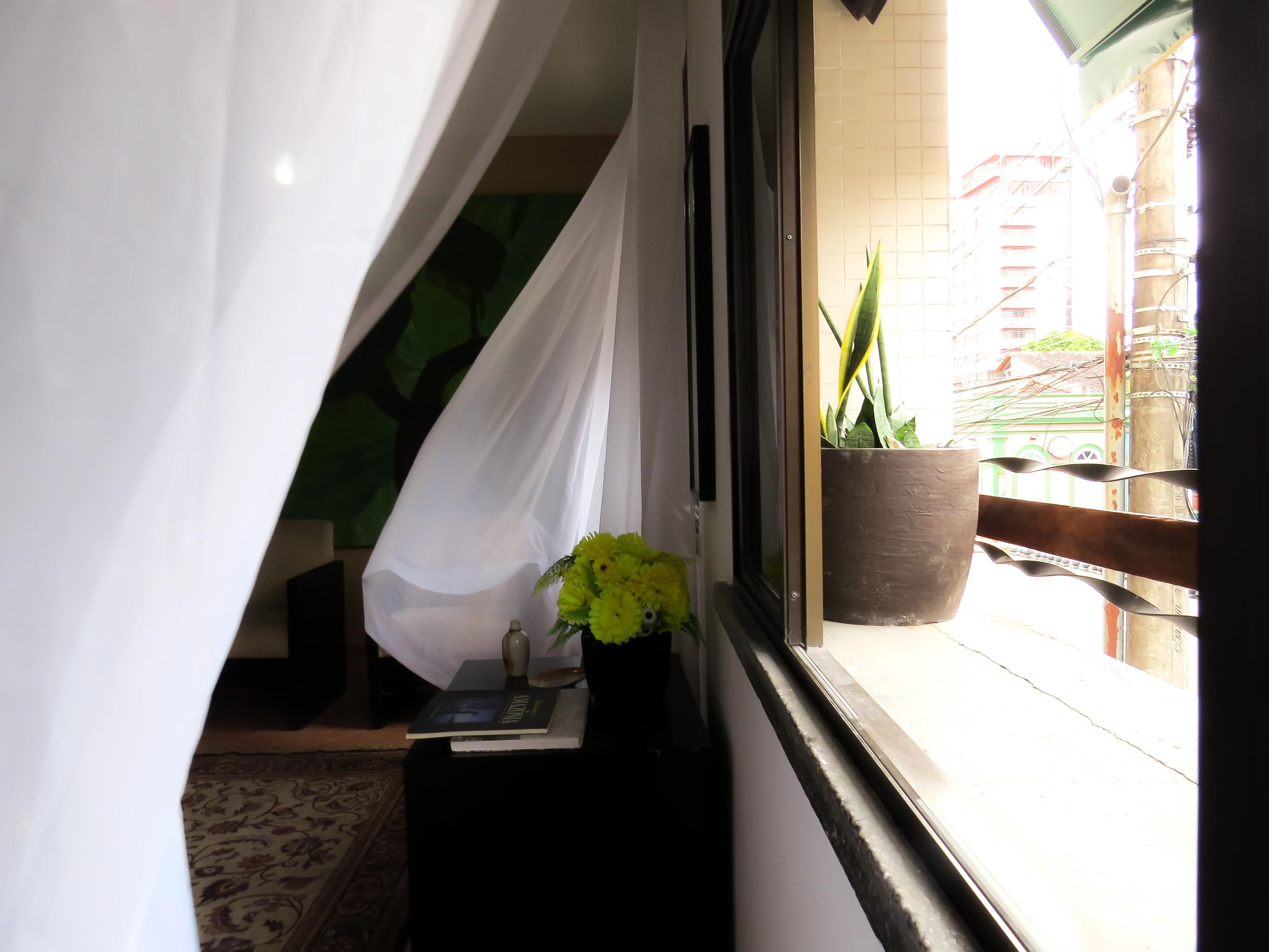 Una ventana con cortina, una planta en maceta y una pequeña mesa con un libro y un florero.