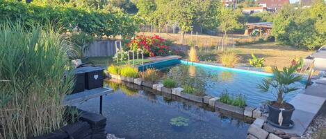 A backyard with a swimming pool, surrounded by various plants and a bird.