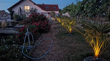 A garden with a hose, a pathway, and a house in the background.
