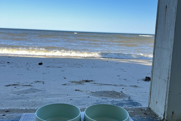 A la platja, gandules de platja i tovalloles de platja