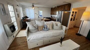 Smart TV, fireplace, books