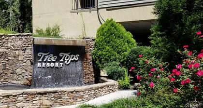Treetops Resort on Roaring Fork Stream Gatlinburg 2Bd2Ba Condo SATURDAY Check In