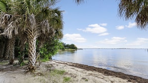 Une plage bordée de palmiers et baignée par une mer calme.