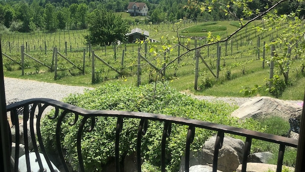 A vineyard with rows of grapevines, a house in the background, and a view of the sea. - Live the Vineyard Life at The Grand View 2 @ Willow Winery (Suttons Bay)