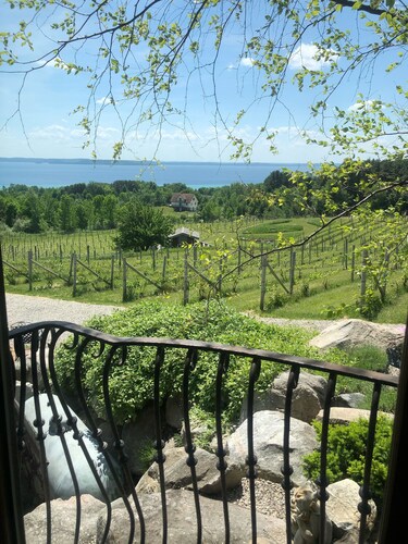 Live the Vineyard Life at The Grand View 2 @ Willow Winery