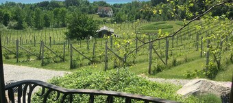 Live the Vineyard Life at The Grand View 2 @ Willow Winery