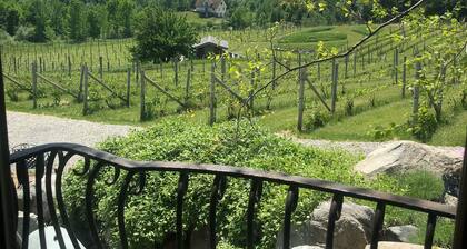 Live the Vineyard Life at The Grand View 2 @ Willow Winery