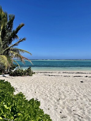 On the beach, sun-loungers, beach towels - Tranquil beach retreat - The Nest @ North Pointe Condos, Rum Point, Grand Cayman (North Side)