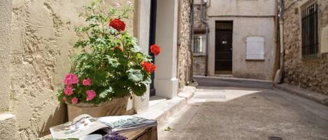 Terrein van de accommodatie