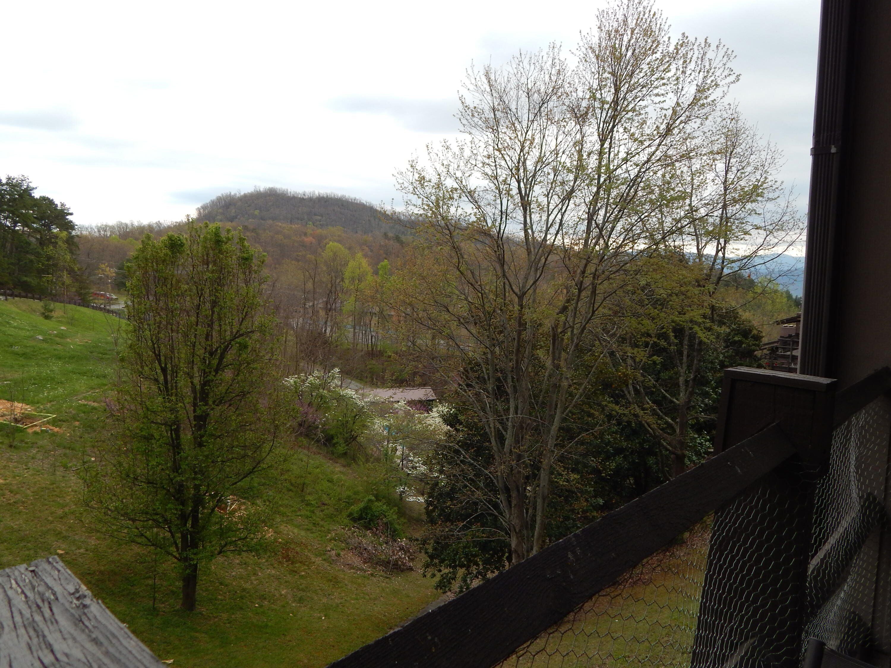 Great Smoky Mountain Hideaway! Near Dollywood! 