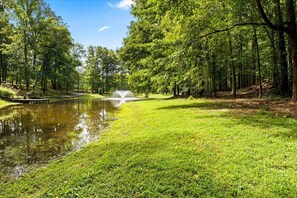 Property grounds - 2 bd Cabin, Hot tub, UTK/Neyland, Smokies, 16acres, FP, Arcade, Fishing (Knoxville)