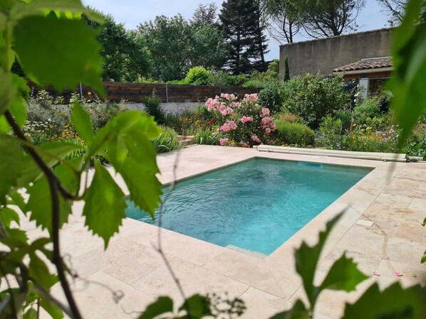 Piscina rectangular con bordeado de azulejos, rodeada de diversas plantas y flores.