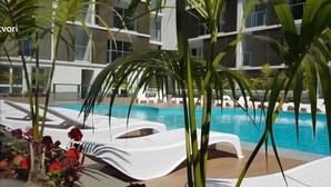 Zona junto a la piscina con sillas de descanso blancas y palmeras.