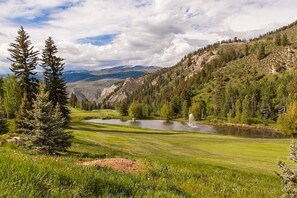 Unclassified image, 3 of 41, button