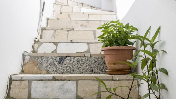 Una escalera con una planta en el rellano.