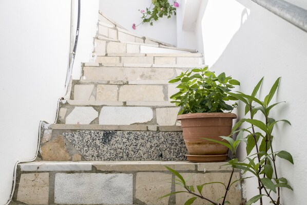 Property grounds - Johnny's Apartment (Kalamaki)