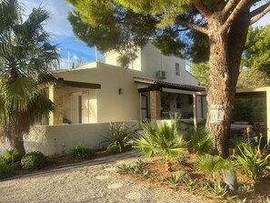 A two-story house with a covered porch, surrounded by various plants and a tree.